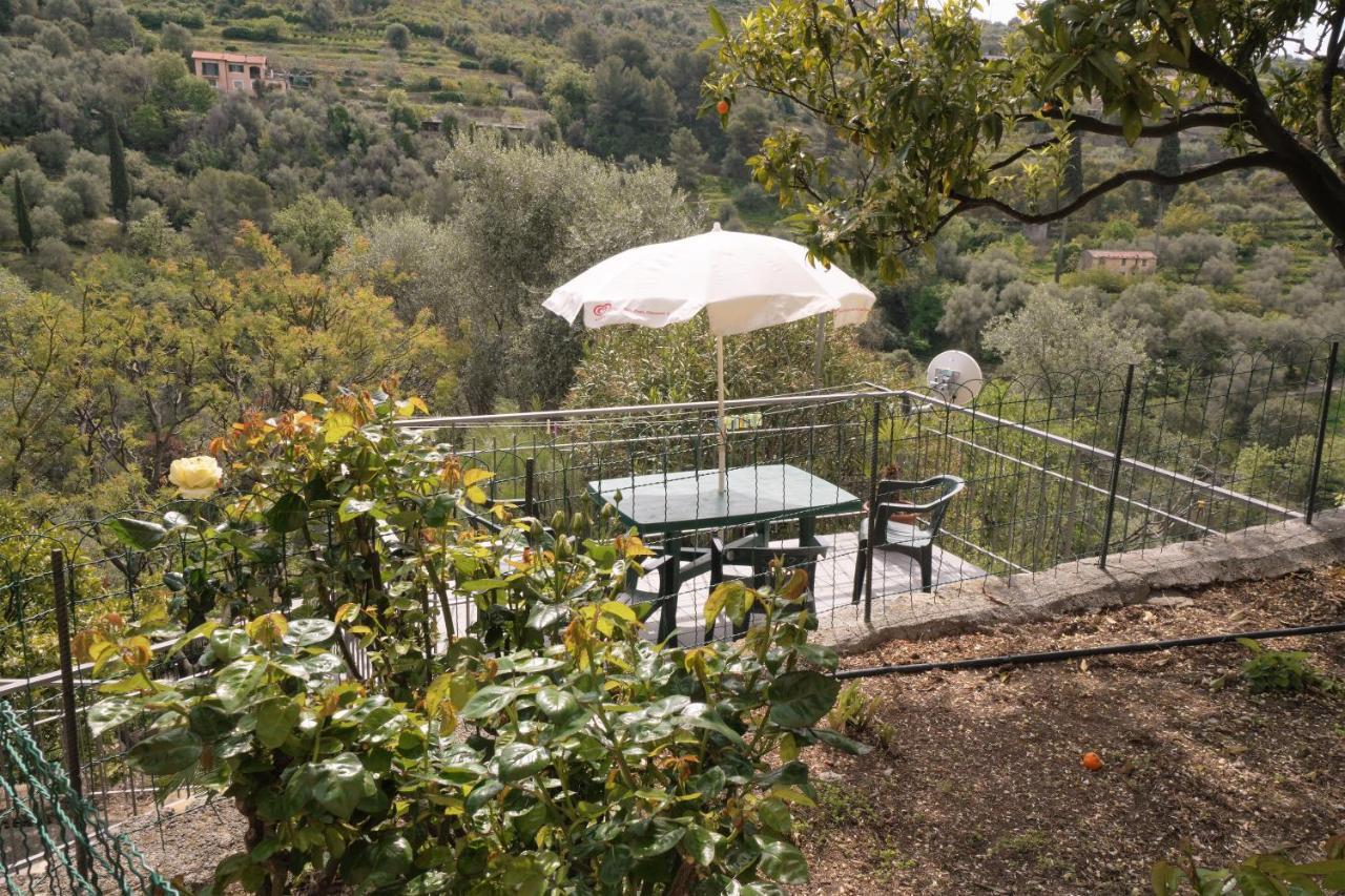 U Ciousu By Ligurian Life Appartamenti In Agriturismo Vallebona Esterno foto