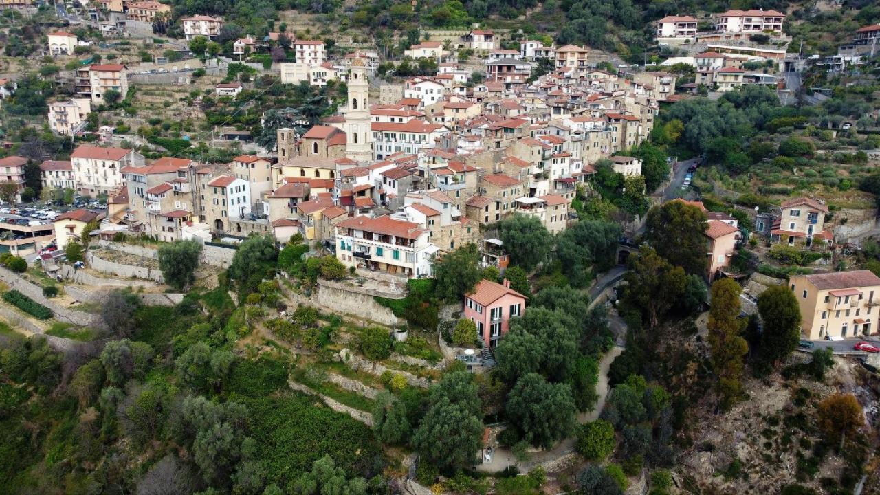U Ciousu By Ligurian Life Appartamenti In Agriturismo Vallebona Esterno foto