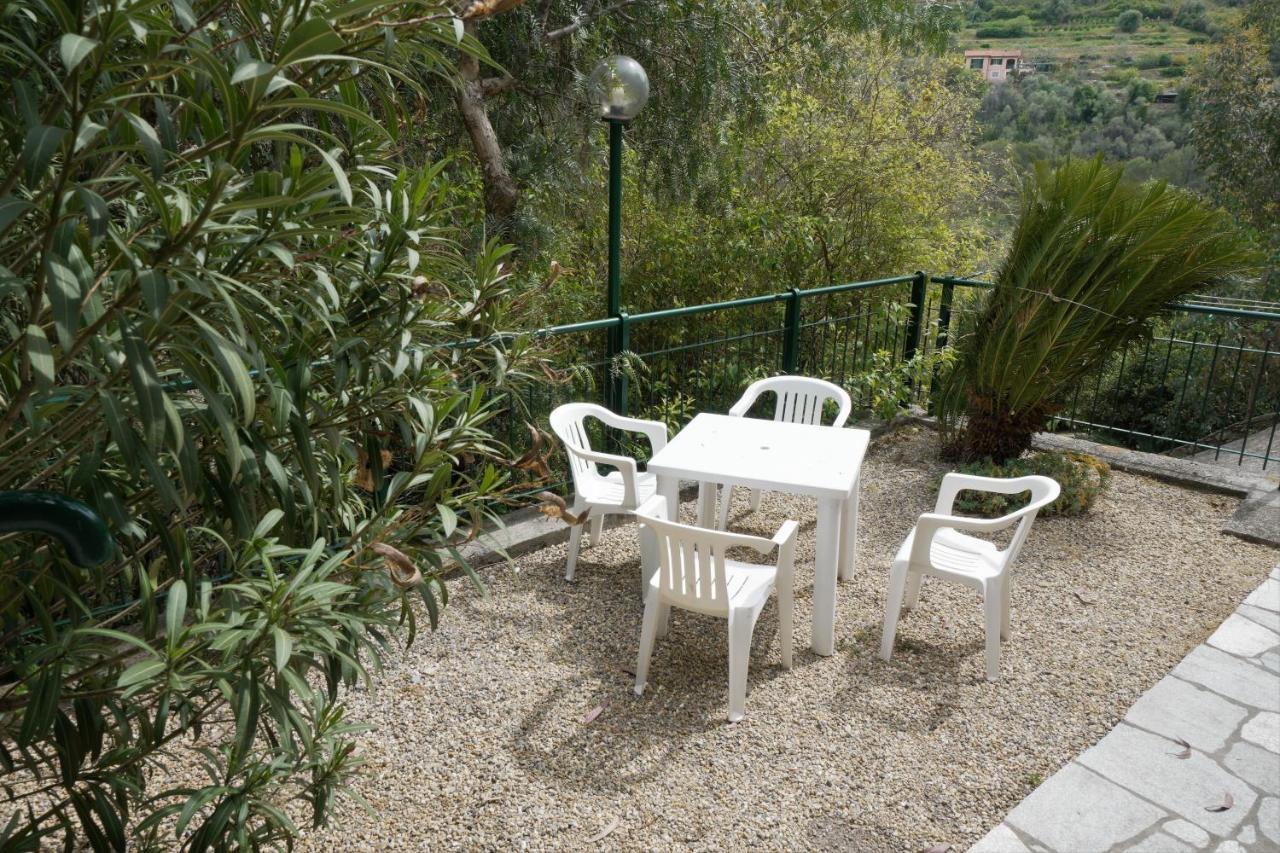 U Ciousu By Ligurian Life Appartamenti In Agriturismo Vallebona Esterno foto