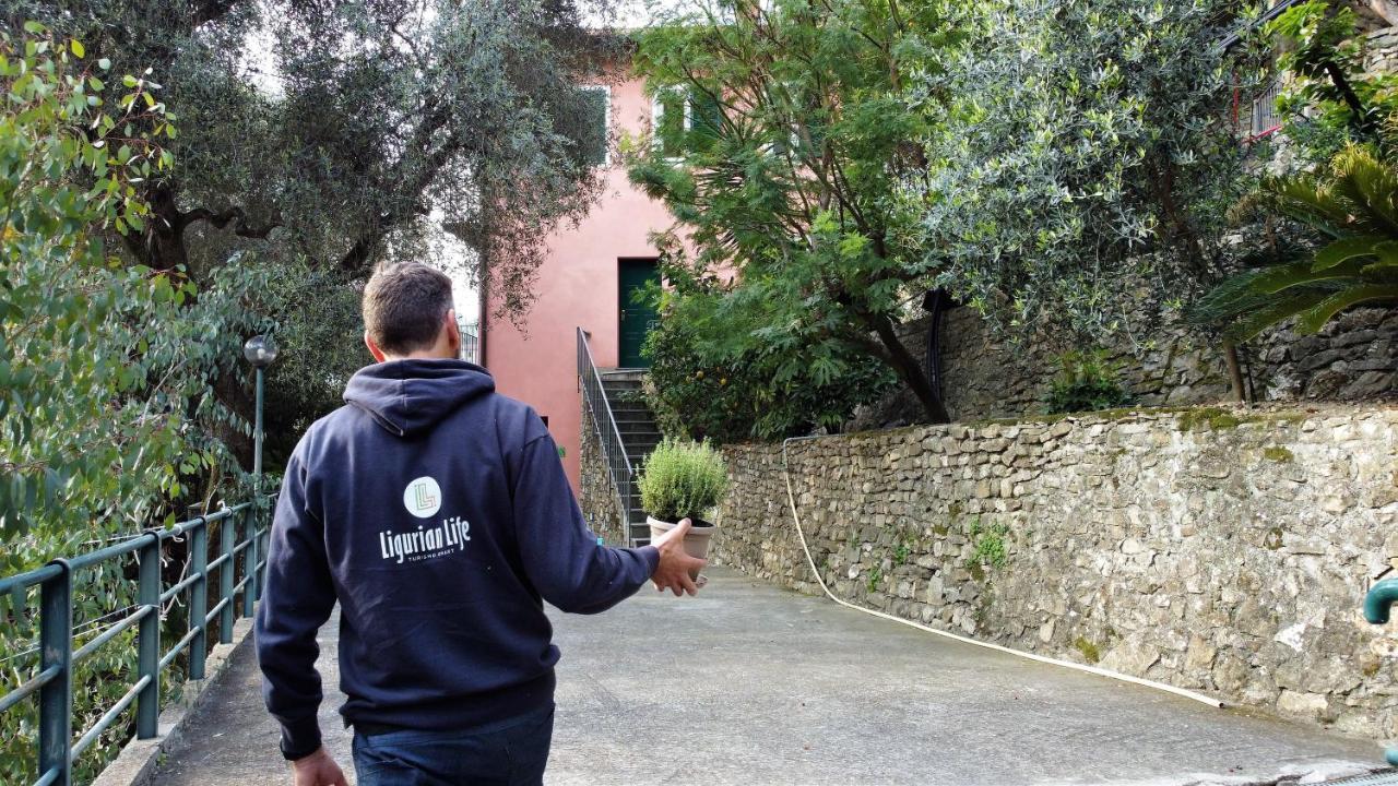 U Ciousu By Ligurian Life Appartamenti In Agriturismo Vallebona Esterno foto