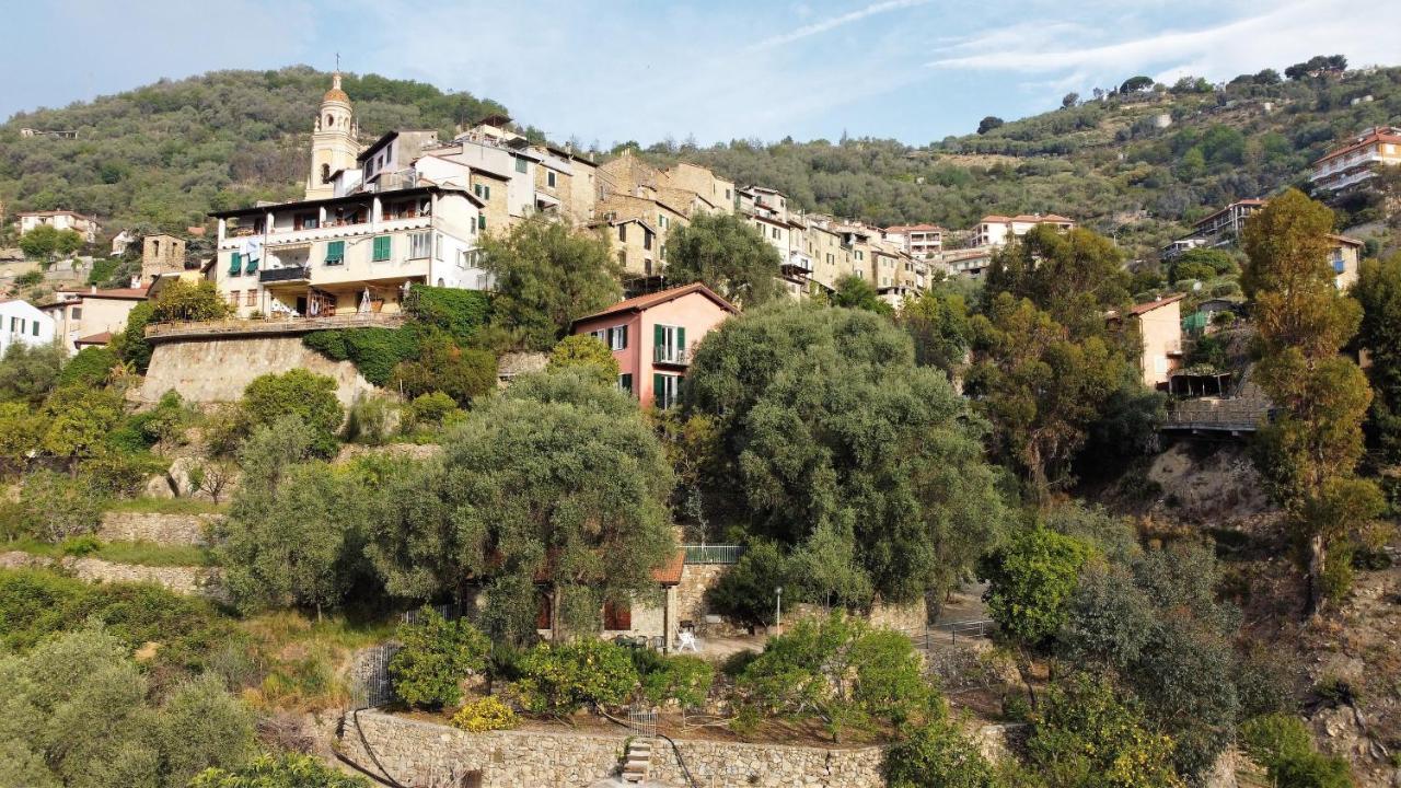 U Ciousu By Ligurian Life Appartamenti In Agriturismo Vallebona Esterno foto