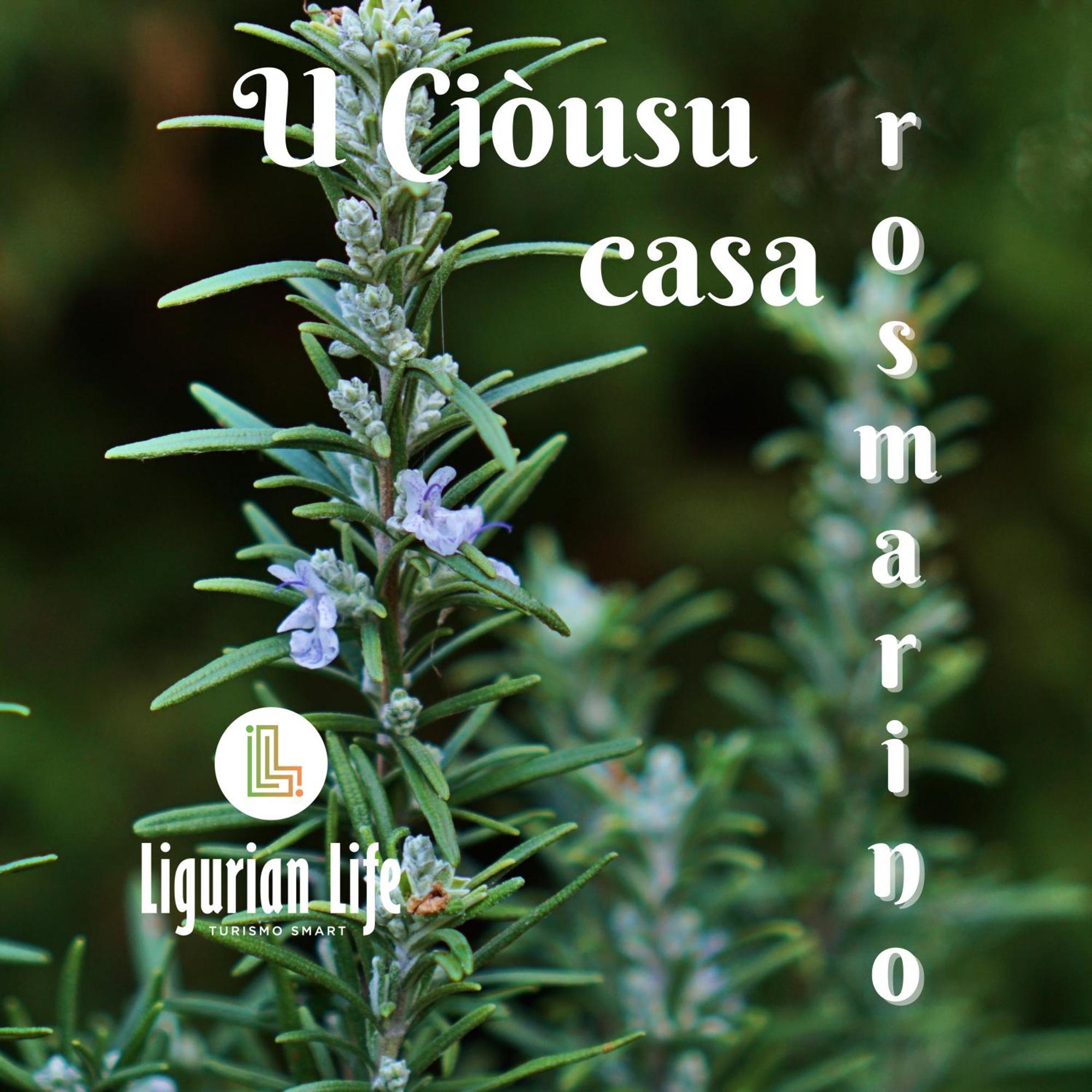 U Ciousu By Ligurian Life Appartamenti In Agriturismo Vallebona Camera foto